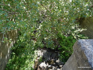 nte Scuderi-05-09-2020 09